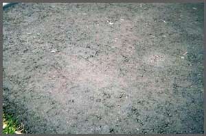 Rough Road — New Driveway Repaired in Medina, MN Rough Road — New Driveway Repaired in Medina, MN