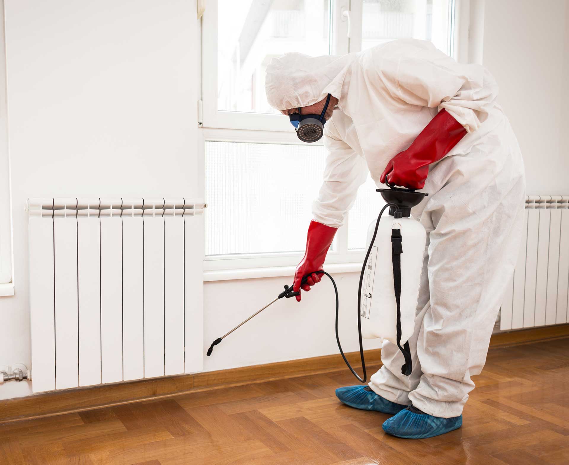 Exterminator — Spraying on Edges in New Martinsville, WV Exterminator — Spraying on Edges in New Martinsville, WV