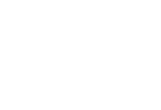 Progressive Mold