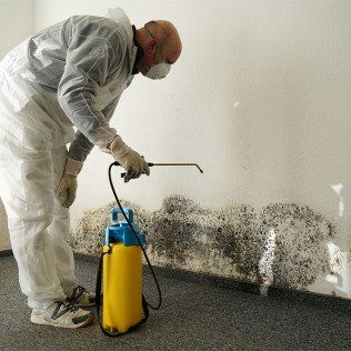 A man spraying mold on a wall with a sprayer