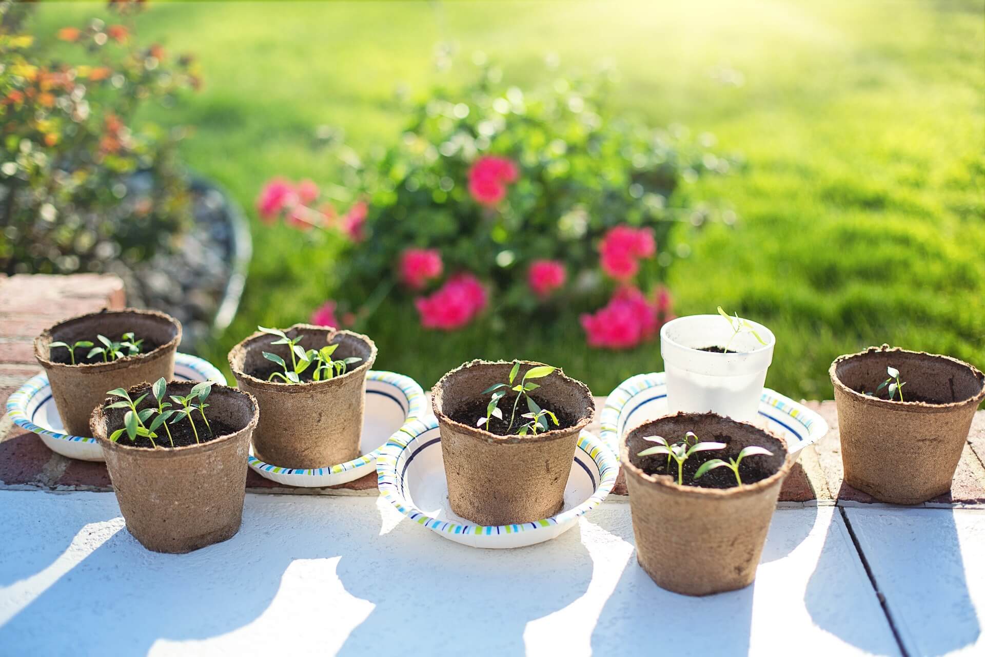 Gartenpflege im Frühjahr