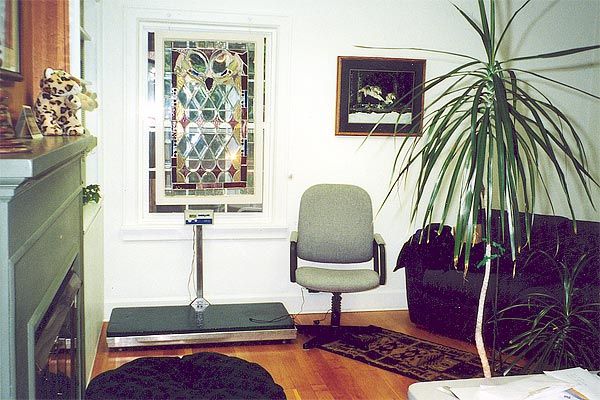 A room - Veterinary Hospital in Issaquah, WA