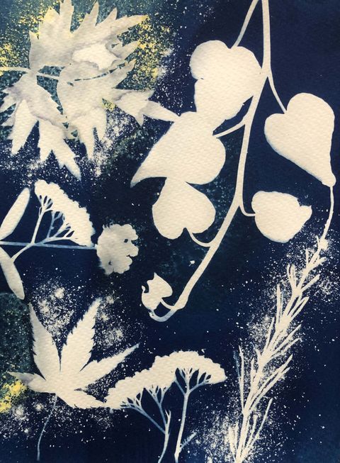 Cyanotype