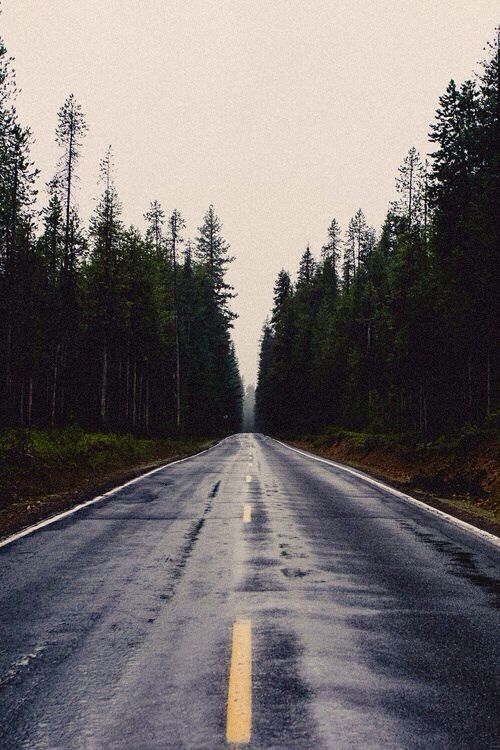 a wet road