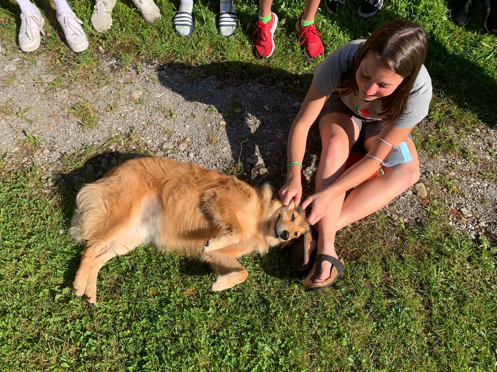 Ein Mädchen streichelt einen Hund, der im Gras liegt.