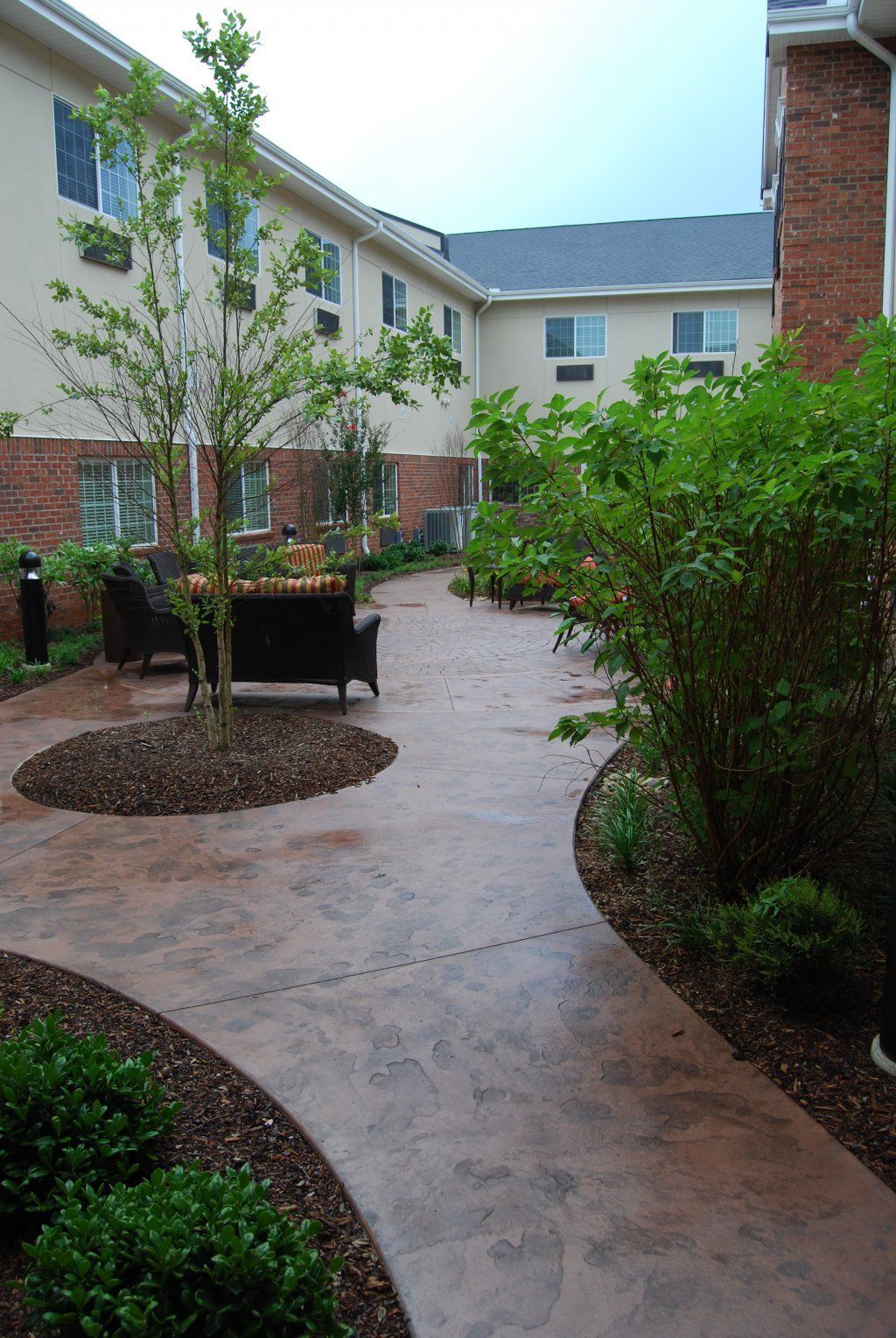 Pathway With Tree — Horseshoe, NC — Carolina Concrete Designs Inc