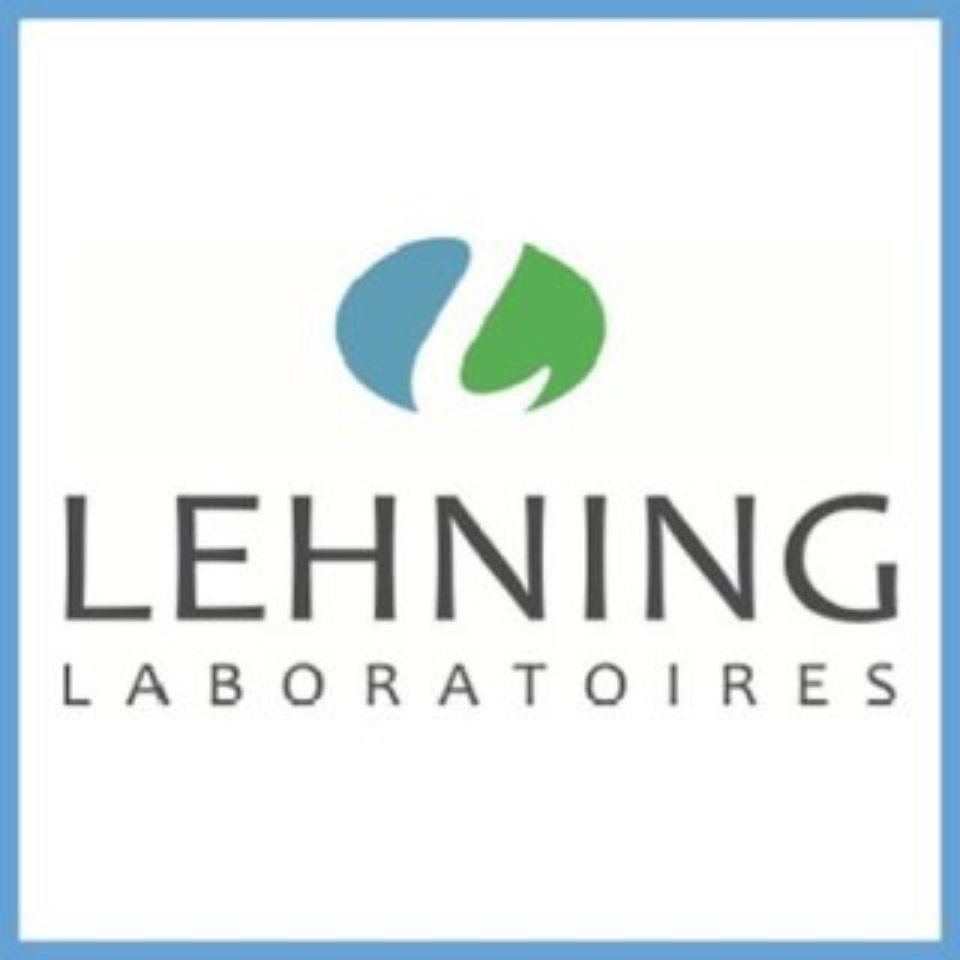 Logo - Lehning