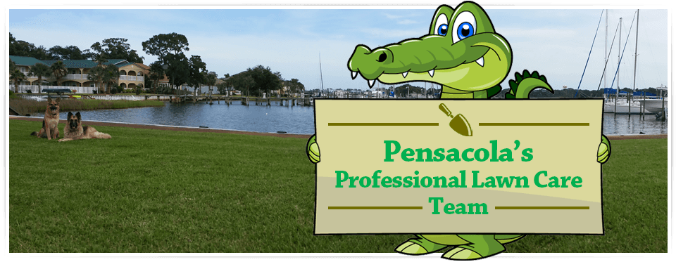 Gator Grass LLC Lawncare in Pensacola FL