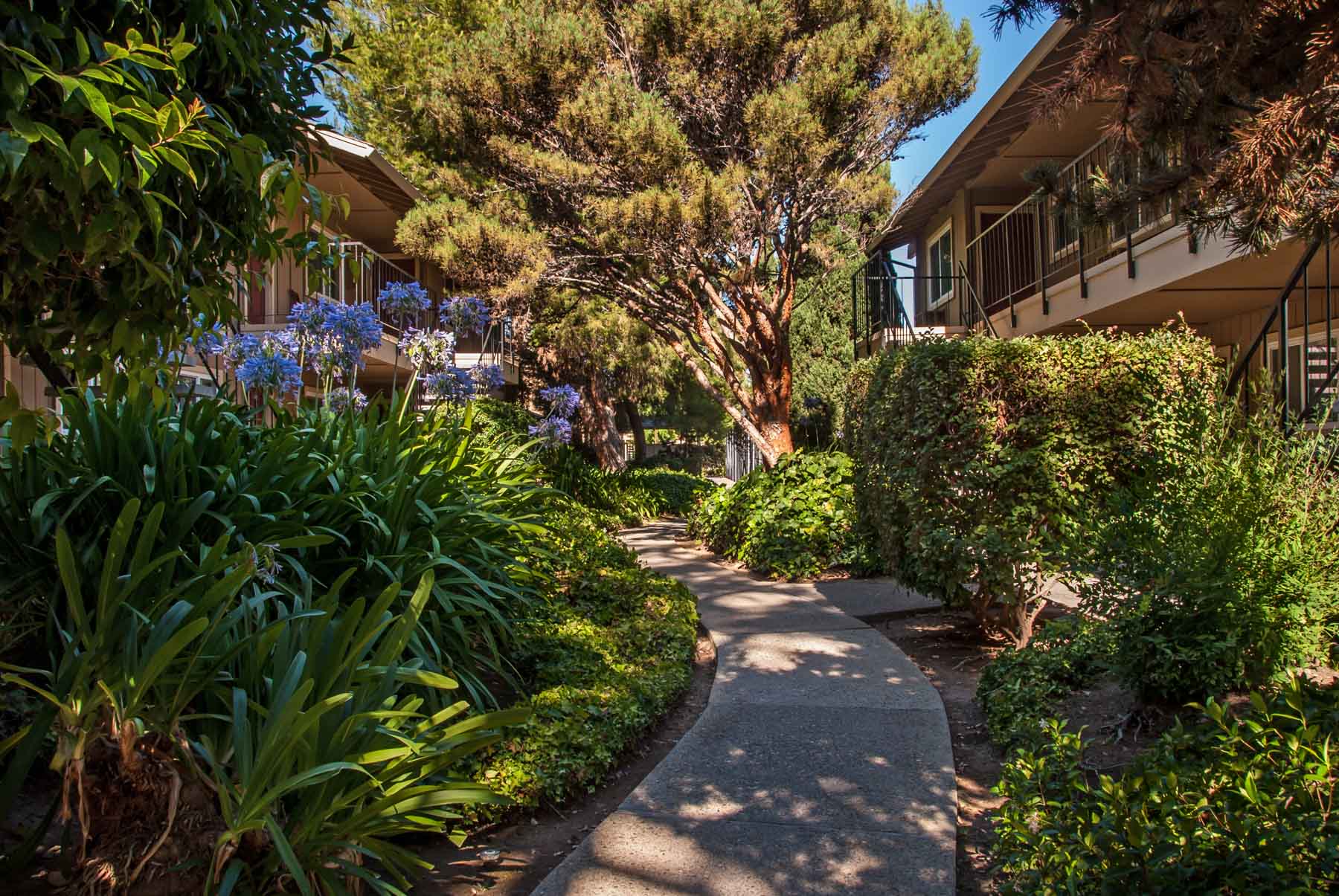 Sedona Lane Exterior Walkway