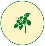 flower icon