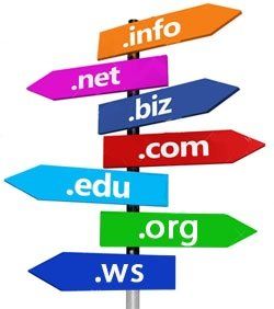 A bunch of signs pointing in different directions including .net .biz .com .edu .org and .ws