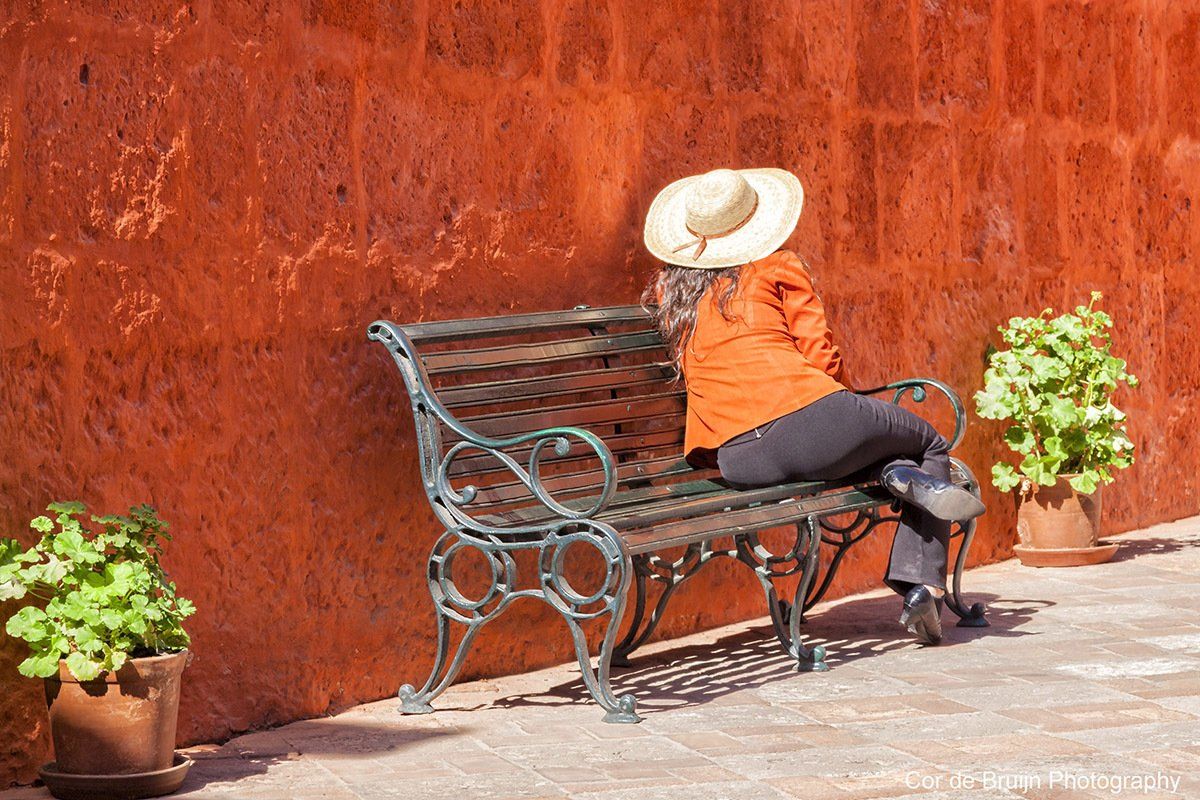 Person in orange shirt and hat sits on a decorative bench against a red brick wall, plants on either side.