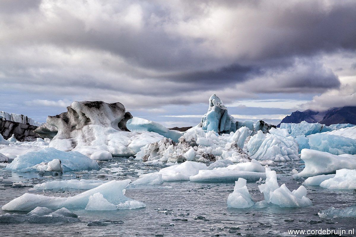 Icebergs floating in a glacial lagoon under a cloudy sky, with mountains in the background.