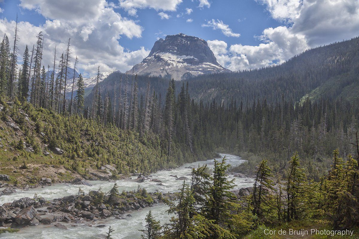 Mountain peak over river flowing through forest.