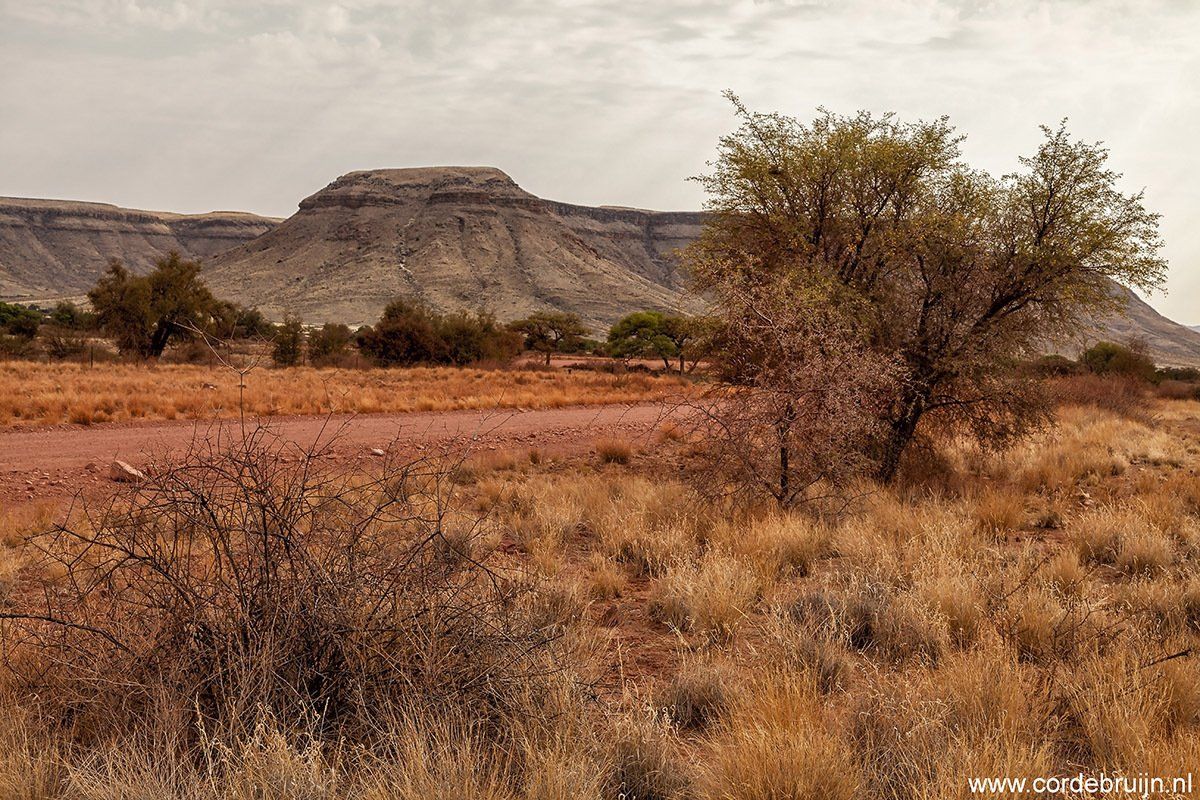 Dirt road through arid landscape, low mountains in background, sparse trees, dry grass.