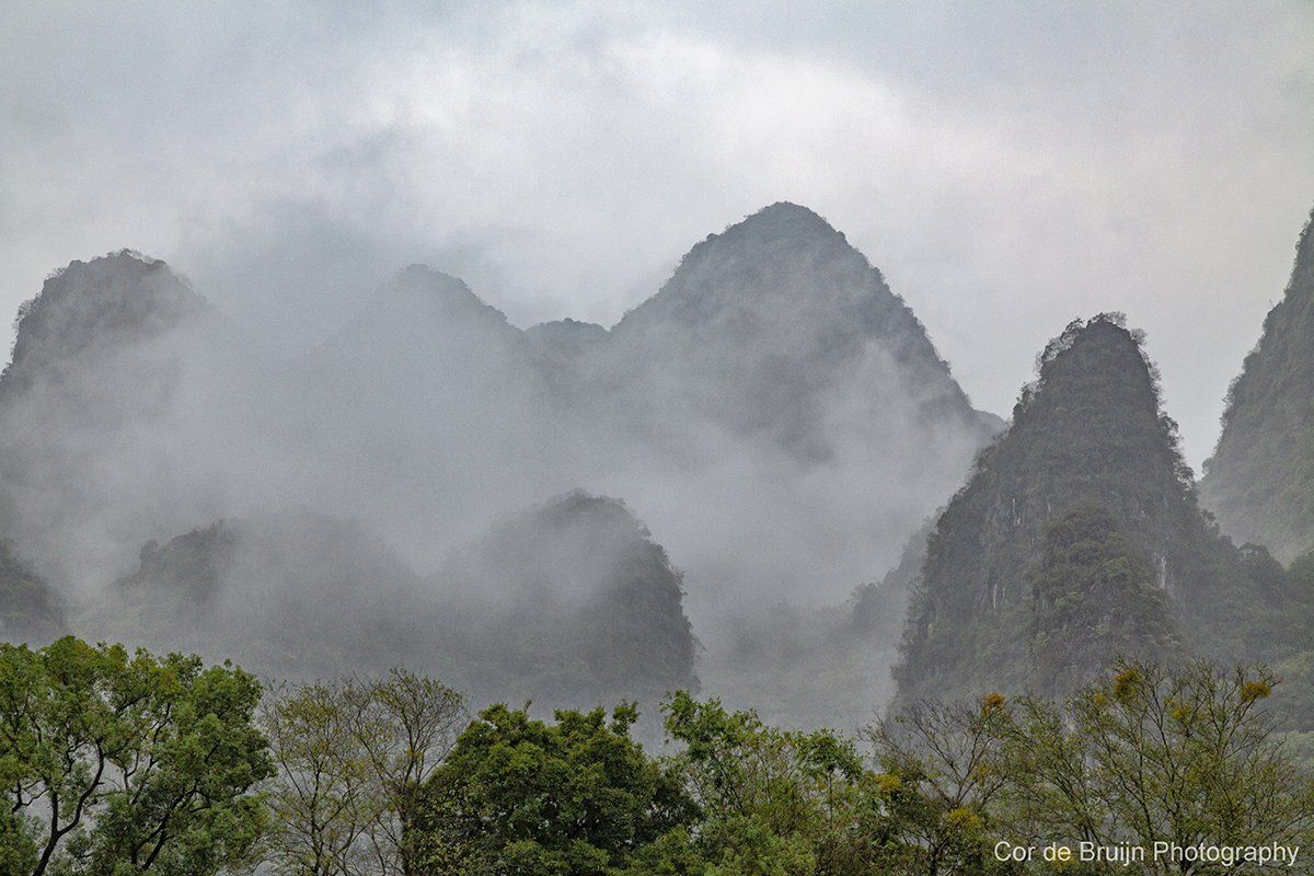 Misty peaks in a mountainous landscape, with trees in the foreground under an overcast sky.