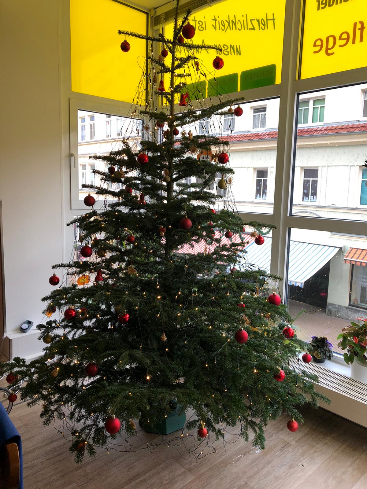 Mit roten Ornamenten geschmückter Weihnachtsbaum, drinnen, neben einem Fenster.
