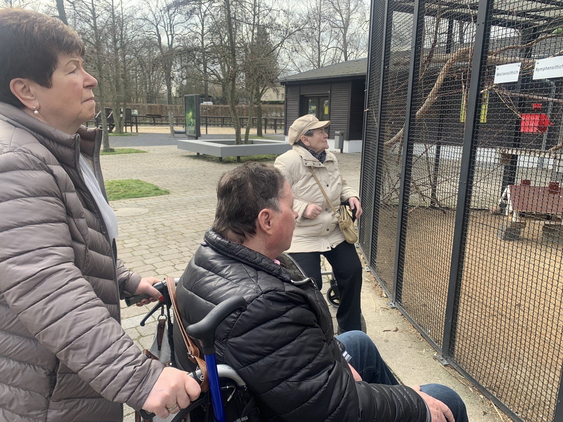 Drei Personen betrachten eine Voliere. Eine Person sitzt im Rollstuhl und wird von einer anderen Person geschoben.