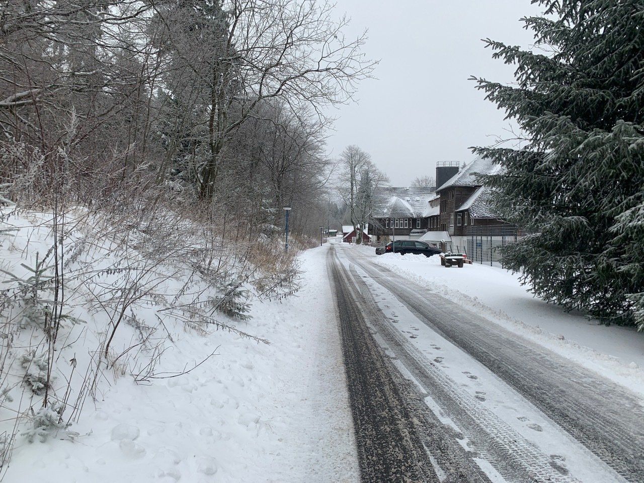Verschneite Straße gesäumt von Bäumen und Gebäuden, Winterlandschaft.