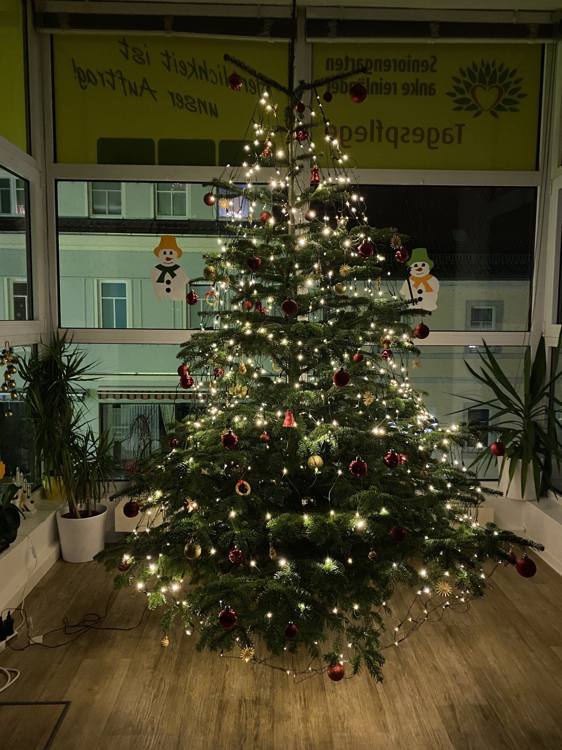 Mit Lichtern und Ornamenten beleuchteter Weihnachtsbaum vor einem Fenster bei Nacht.