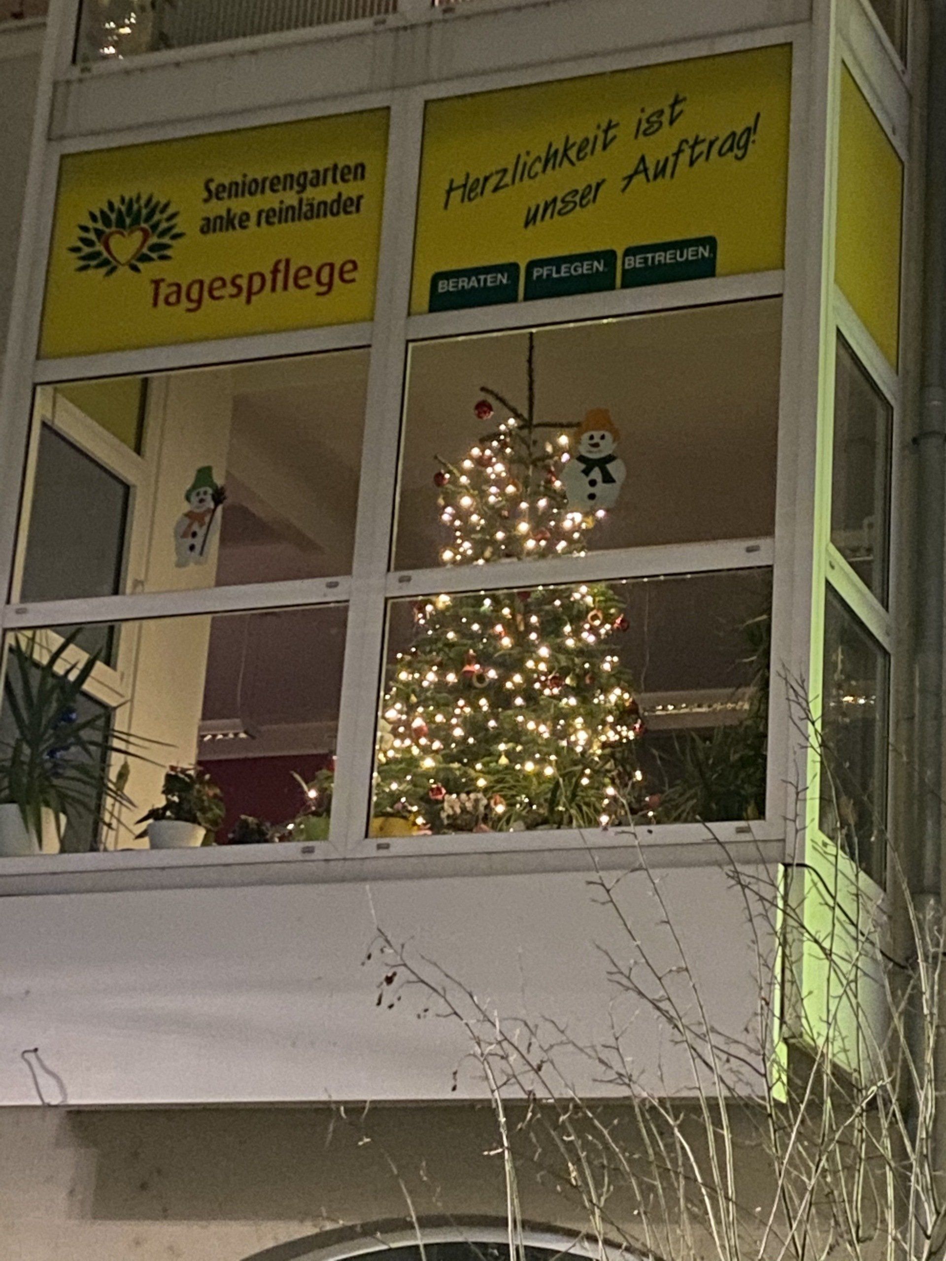 Weihnachtsbaum im Fenster einer Seniorentagesstätte, mit festlichen Lichtern beleuchtet.