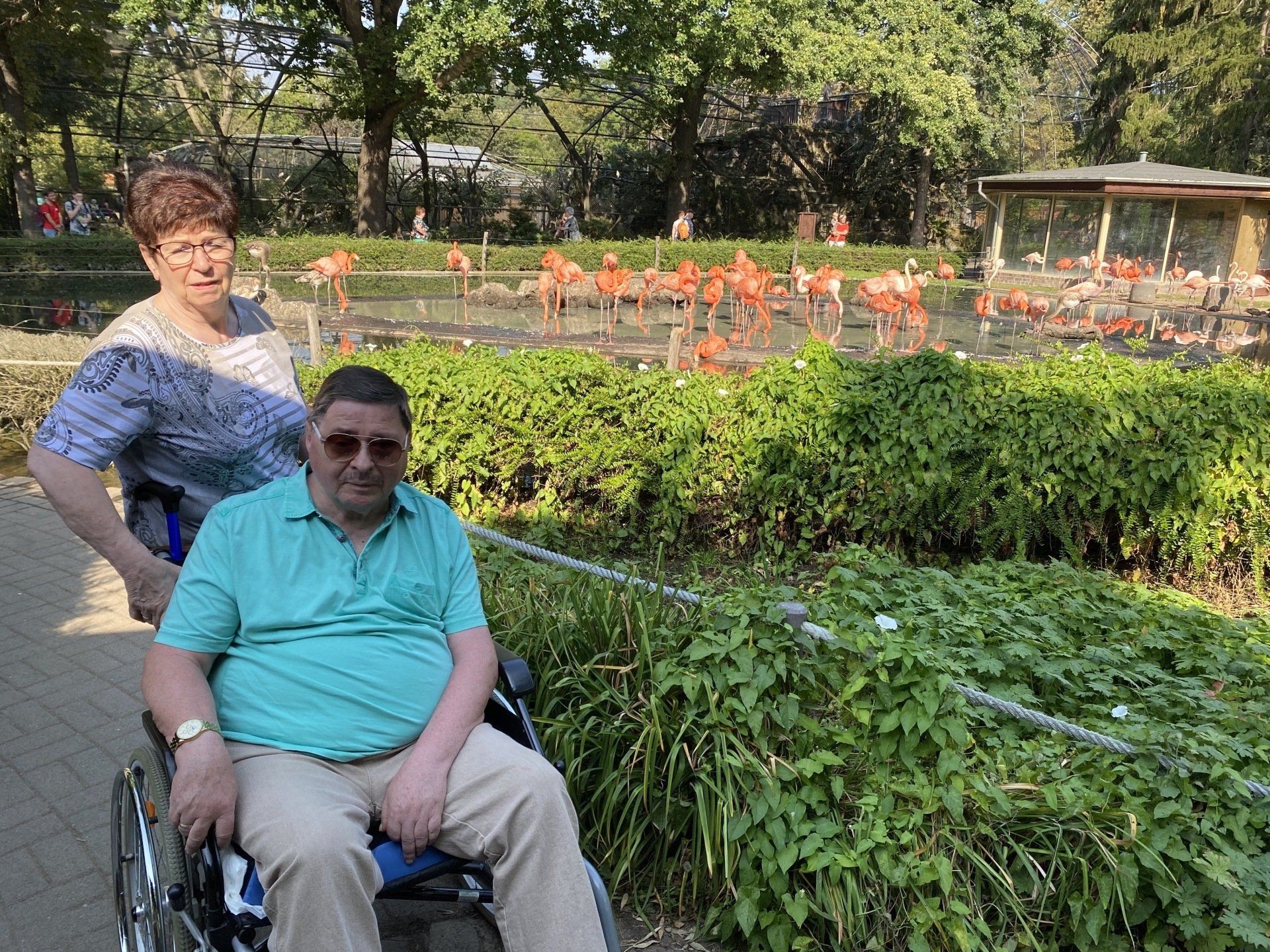 Frau schiebt einen Mann im Rollstuhl an einem Flamingogehege in einem Zoo vorbei.
