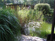 Park- und Teichanlage