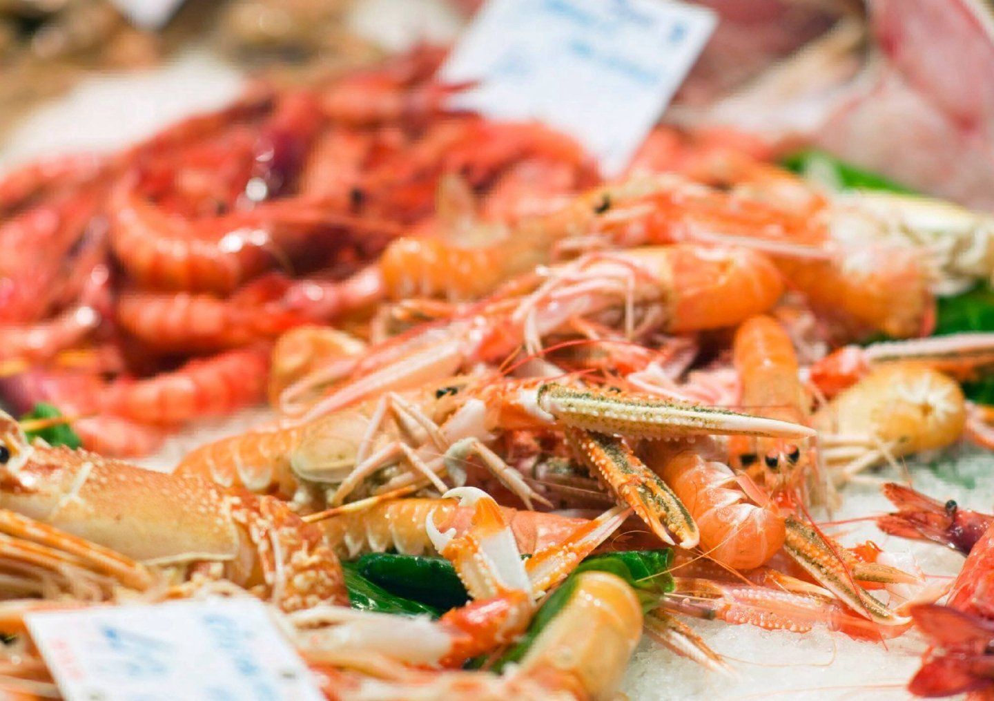 Crostacei