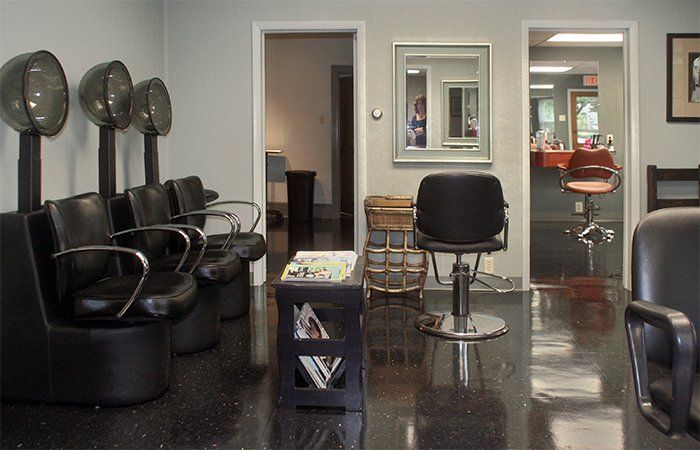 Hair Artistry Salon Hair Dryers