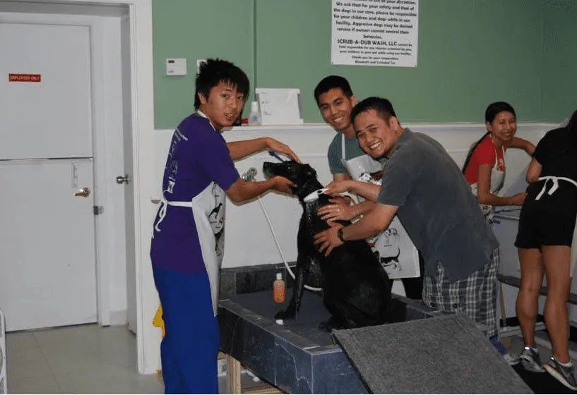 Dog Wash Event 3