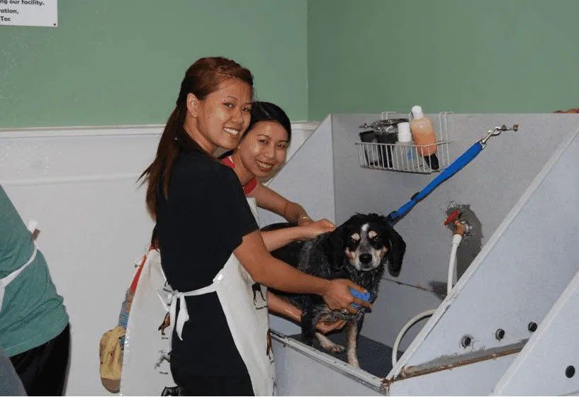 Dog Wash Event 4