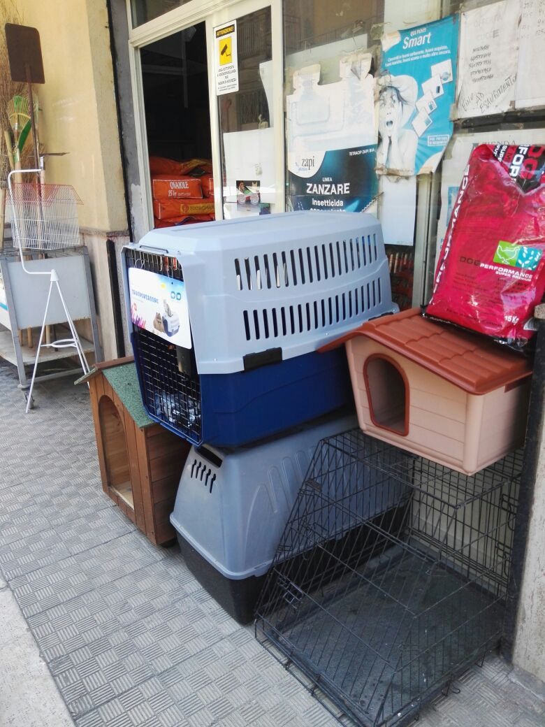 cucce per cani