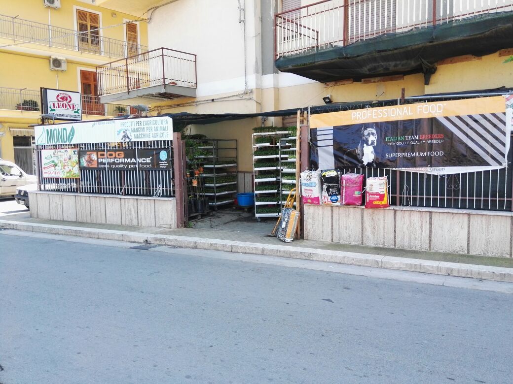 esterni del negozio