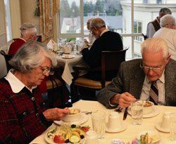 Convalescent Homes