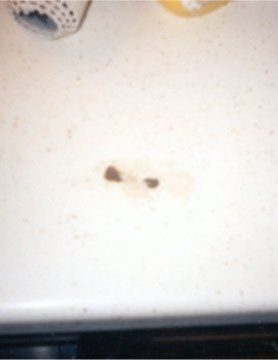Before Countertop Repair — N. Charleston, SC — Surface Specialists