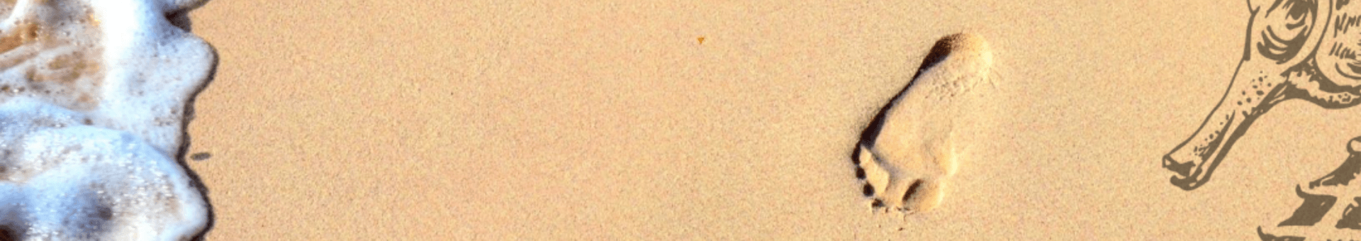 Footsteps on sand