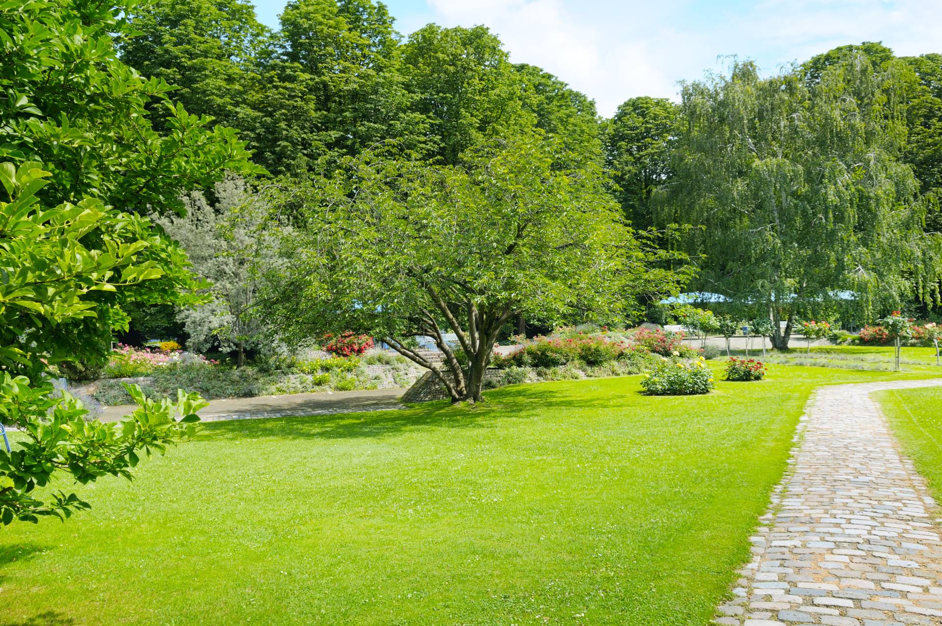giardino privato dopo servizio di manutenzione