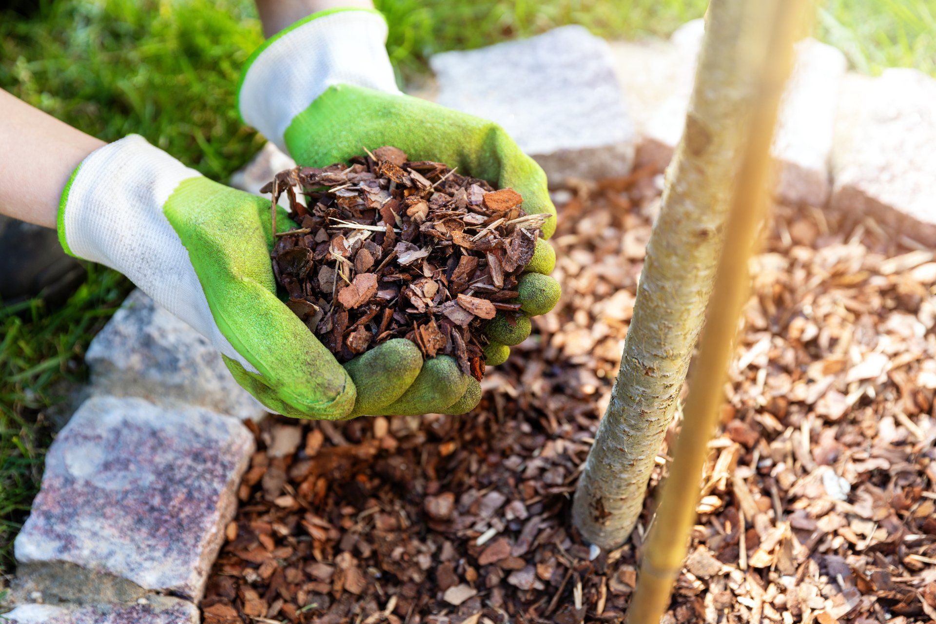 State College stump removal wood chip mulching