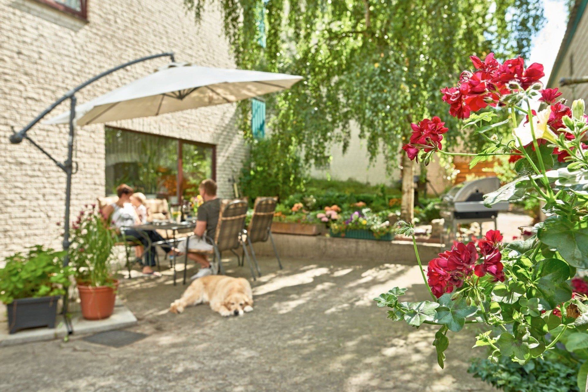 Ein Mann und eine Frau sitzen mit einem Hund an einem Tisch unter einem Sonnenschirm auf einer Terrasse.