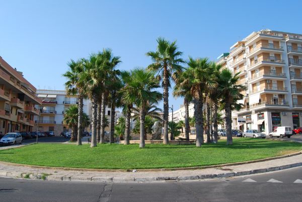 Palme a Gallipoli
