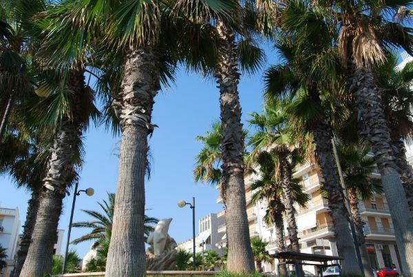 Giardino a Gallipoli
