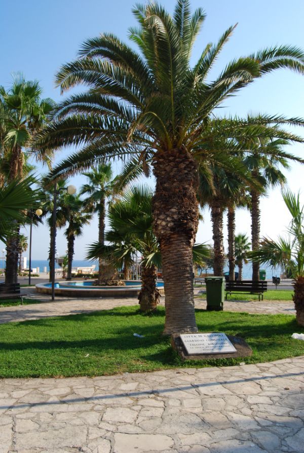 Giardino Anfiteatro sul mare
