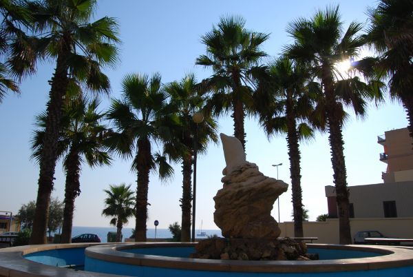 Giardino con palme