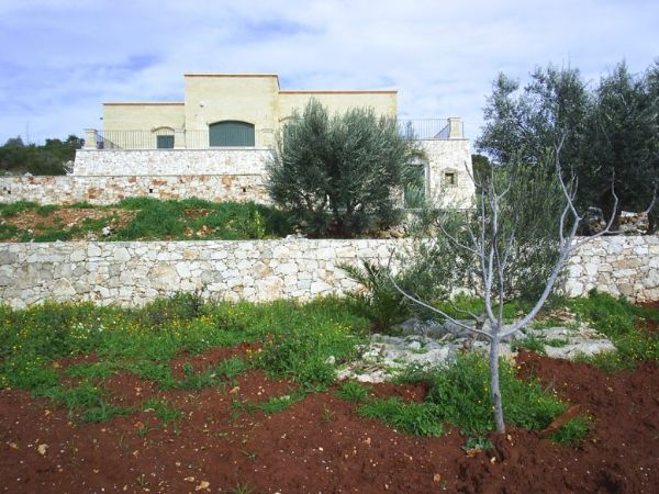 Albero e villa