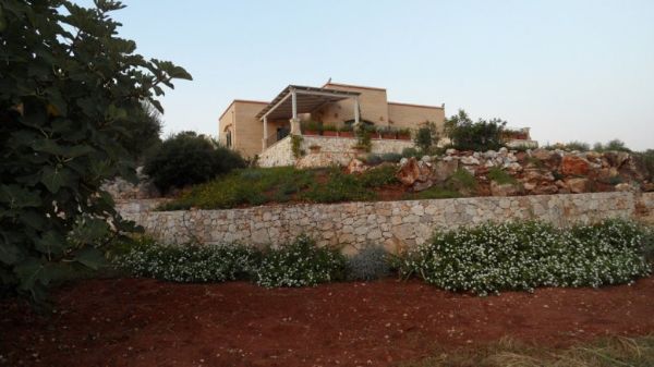 Muro con fiori
