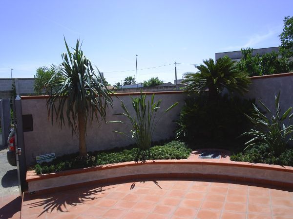 Aiuola con piante