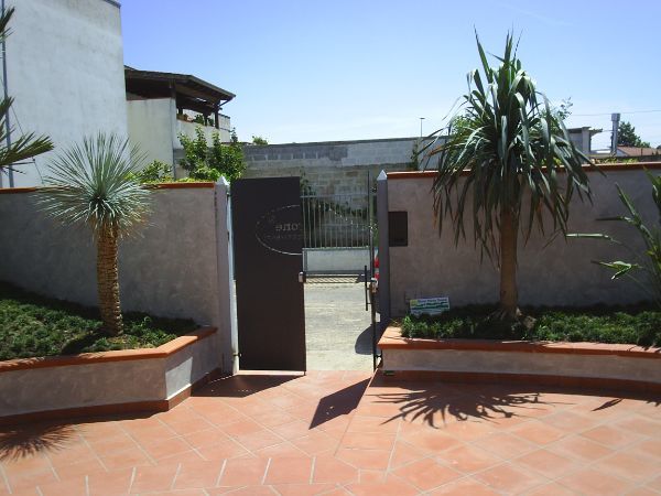 Ingresso con piante e portone
