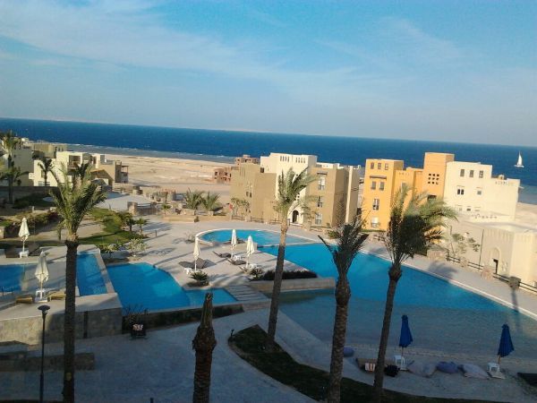Piscine e palme