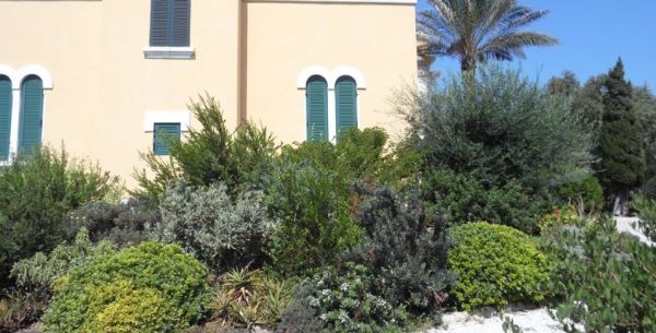 Aiuole villa
