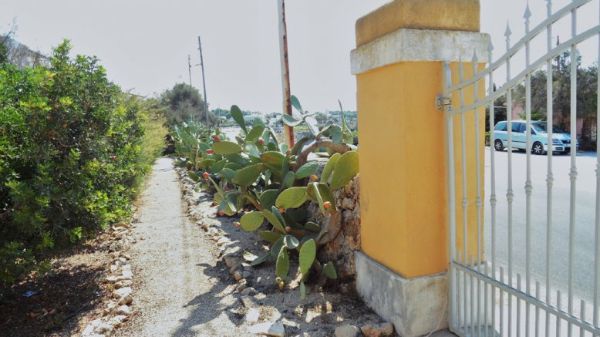 Ingresso e fichi d'India